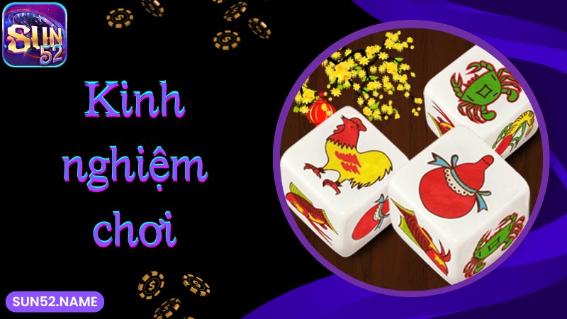 Bầu cua Sun52 là gì? Cách chơi chuẩn 100% theo chuyên gia 6 Kinh nghiệm bất bại khi tham gia chơi game Bầu cua Sun52